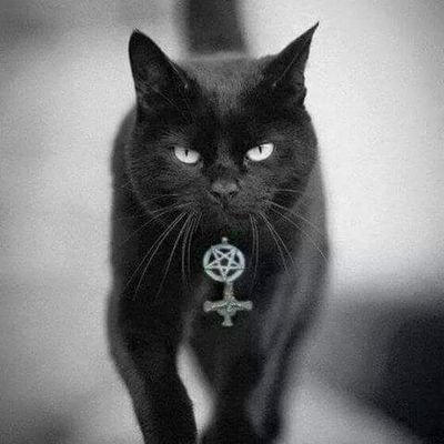 sonja648's profile picture. 