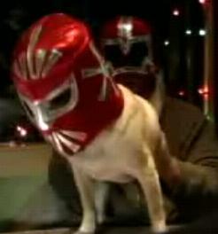 HowieChackowicz's profile picture. Being the best Howard I can be. On twitter.