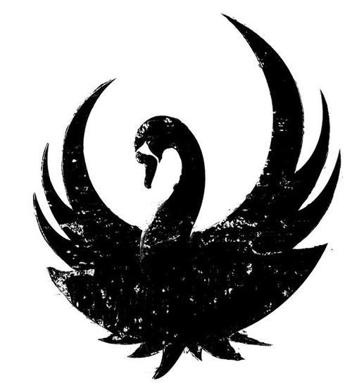 It's time to discover a black swan.