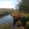 jimmacmillan2's profile picture. Kilchoan Boy  lost in North still running after sheep and cows to old for rugby . travelling about Highlands and Islands on utilities work.