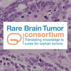 International collaborative consortium- global clinical registry and bio-repository for rare pediatric brain tumors #ETMR #ATRT #Pineoblastoma  #PNET