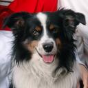 Ben Porter - @mooglestone - Twitter