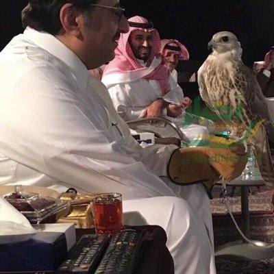 AaP222000's profile picture. 