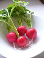 ◆野菜ソムリエ 現在「バナナ」をＰＲする企画で活動中⇒http://t.co/h4SiojwECJ◆2011年9月～マイブランド【・・・emi・・・】 スワロフスキーを使ったアクセサリーやＢＡＧなどのデザインをスタート BeachでもCityでも使えるHAPPYアイテムを作っていきます