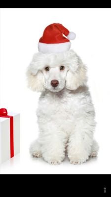 tenna000126's profile picture. 