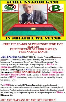 Chidimadu8's profile picture. 