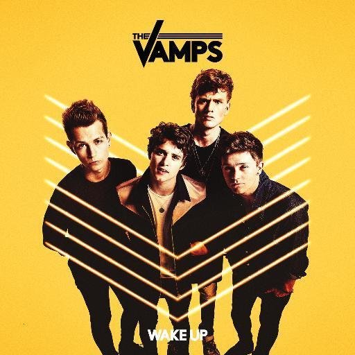 We are not fans, we are Vampettes and Vampions. We are not obsessed, we are dedicated. We are not friends, we are VAMILY!!