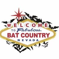 NVBATs (@nvbats) 's Twitter Profile