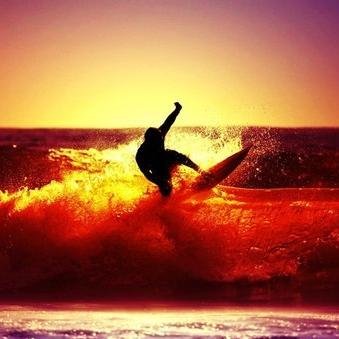 windrose771's profile picture. 