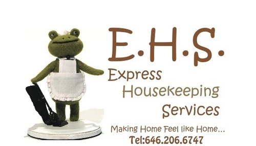 IamAtoad's profile picture. NYC Best Housekeeping Service!