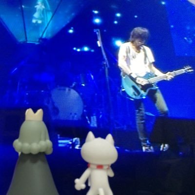raykchile's profile picture. Mr.Children♡ BUMP OF CHICKEN♡ ライブを楽しみにしながら老体ご自愛中〜生きるのは最高だ✨💎🌈
