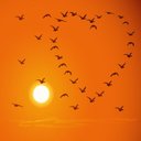 منال . (@0300cbb1e88c4b0) Twitter