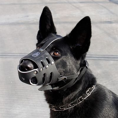 WedatBn's profile picture. 