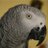 bjgordontx's profile image