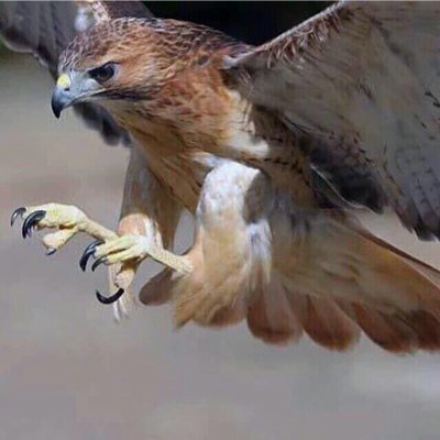 8 8 Banyan8 8 On Twitter غموض المرأة هو أكثر ما يثير جنون