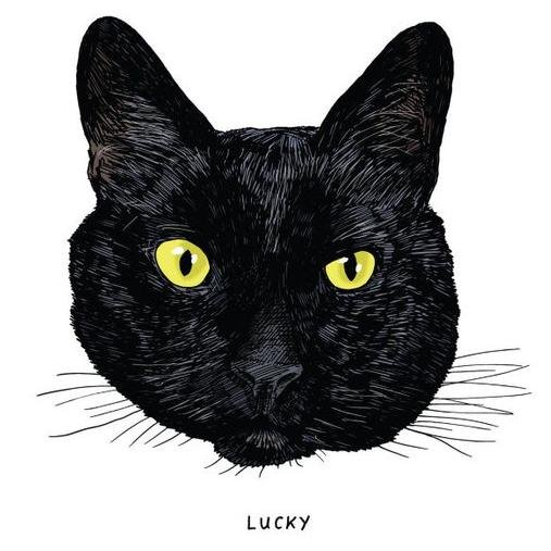29andme's profile picture. I have no follower  #ImbalancefaceBlackCat