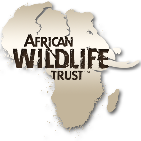 Protecting Africa's Endangered Wildlife