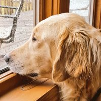 wade pearson (@wadepearson) 's Twitter Profile
