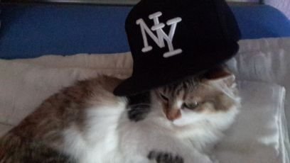 ZbiesProStyle's profile picture. 