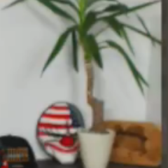 ZandersPflanzeL's profile picture. Ich stehe hinter Zander