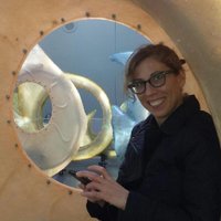Jill Cirasella (@jillasella) 's Twitter Profile