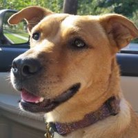 Jen Faigel (@faigeljen) 's Twitter Profile