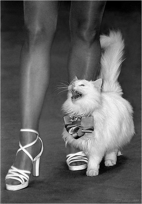 wild_desperate's profile picture. 