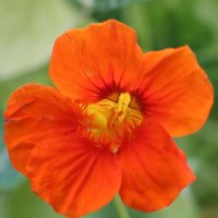 Dawn Bentley, Ed.D. (@dawngbentley) 's Twitter Profile Photo