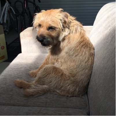 gebs2gebs's profile picture. 