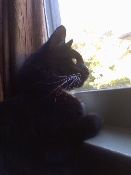 AGDiaz's profile picture. 