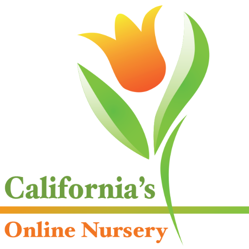 Your source for online plants! Find us on YouTube, Insta and FB for more great deals and helpful information. Serving SoCal.