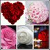 Hafsat usman (@hafsatusman571) Twitter profile photo Hafsat usman (@hafsatusman571) Twitter profile photo