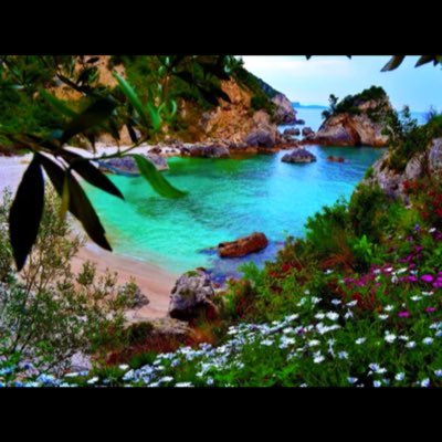 dylanmar_12's profile picture. 