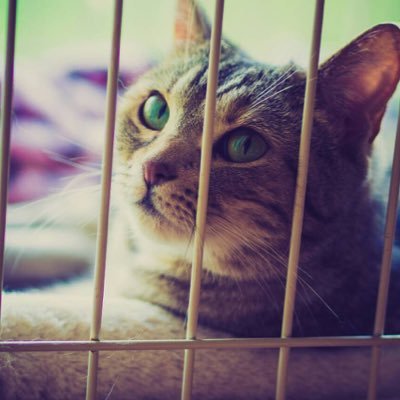 mt__news's profile picture. @tabata350825 ← このアカウントを使っています