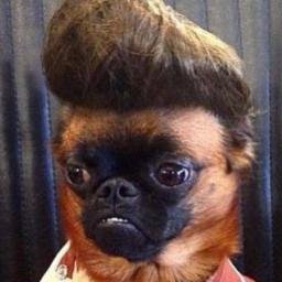 Phu_Mos's profile picture. 