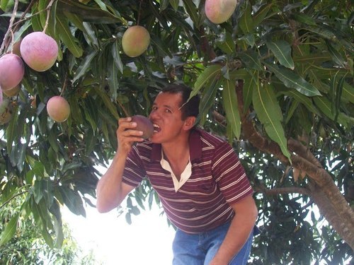 elinunesmaciel's profile picture. limpeza  pos  obras