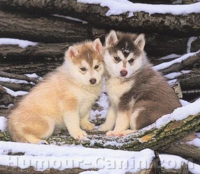 RomaneRepec's profile picture. 