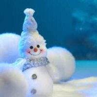 雪☃(@yyIsland0306) 's Twitter Profile Photo