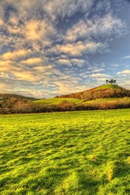 anabelford_'s profile picture. 