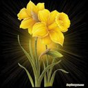 Esha Ali - @eshahairstyle1 - Twitter