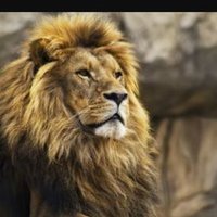 الحجاج (@axaxa4151) 's Twitter Profile