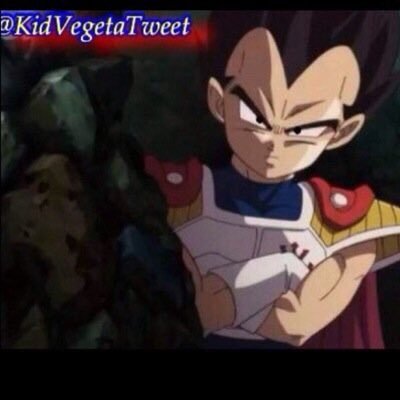 I am the Prince of the Saiyan race and one day I'll be strong enough to kill Frieza. [RP/Parody Account]