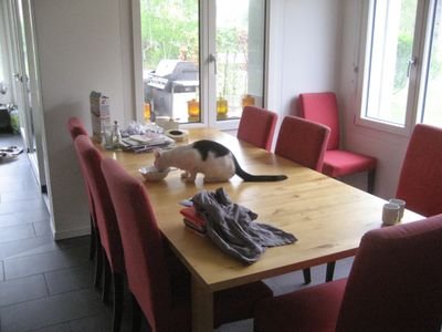 geannny's profile picture. 