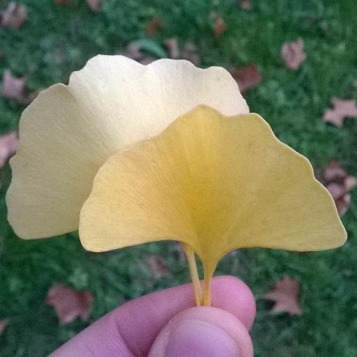 Supersum18's profile picture. Radio. Éducation. Musique.           You know, Hobbes, some days even my lucky rocketship underpants don't help. Calvin