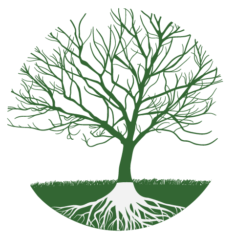 thebraindance's profile picture. Psychotherapy, depth psychology, neuroscience