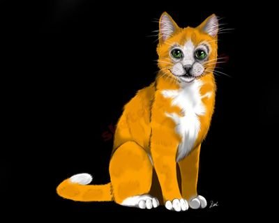 WARRIOR CATS!!!!!!!!