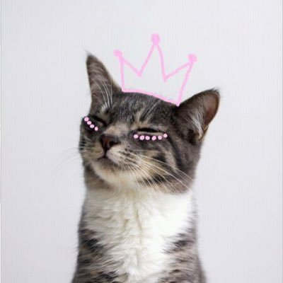 posiifeelings's profile picture. rad vegetarian and positive person!