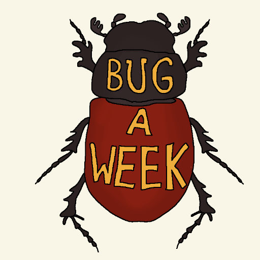 There are more than a million described species of insects. Start off your week by meeting one.
