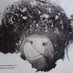 Pepe_Schwefelstein (@tom_a_toe) Twitter profile photo Pepe_Schwefelstein (@tom_a_toe) Twitter profile photo