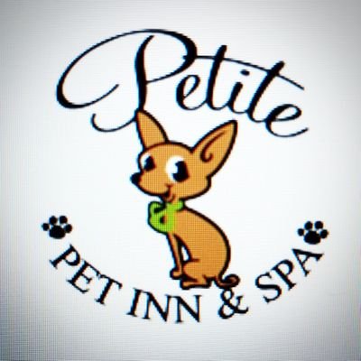 We Specialize in small dogs, 25 lbs or 13